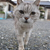 どアップ