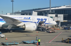 ANA　787