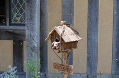 DSC_1910