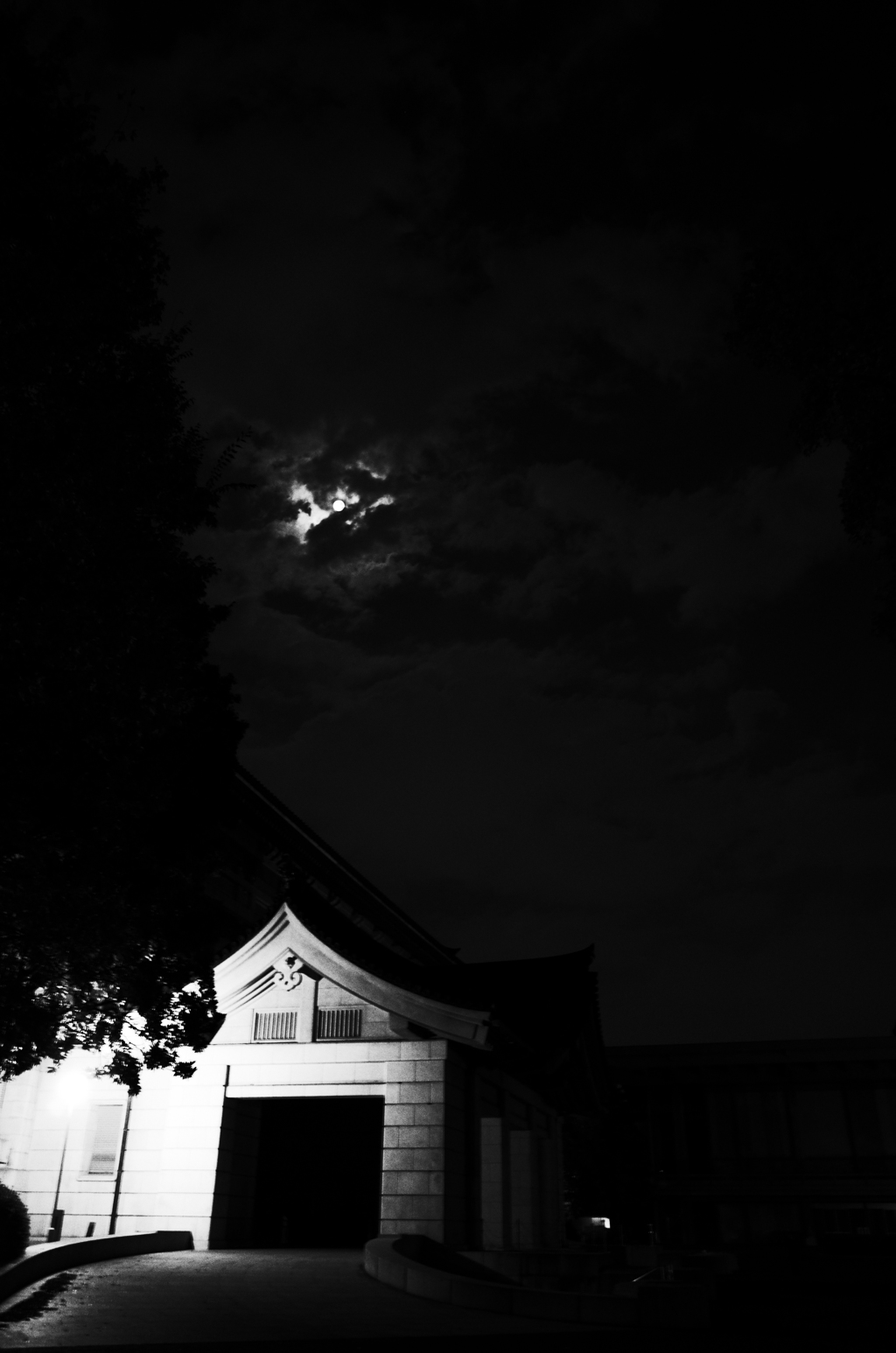 夜のコクハク