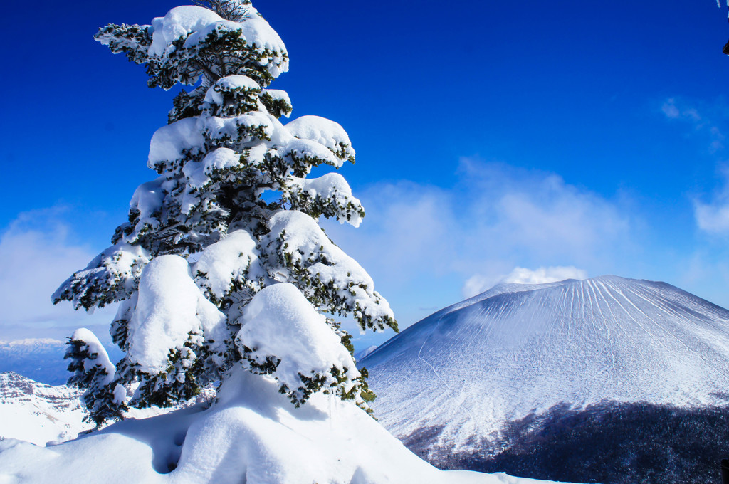 大きな雪だるま