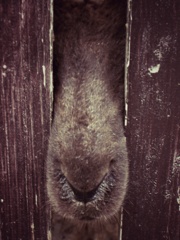 Hello!!