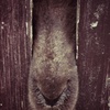 Hello!!