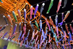 東京タワー鯉のぼり