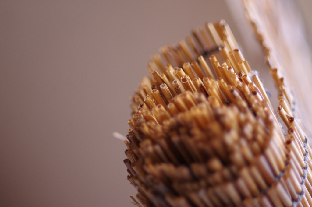 ★55mm試し撮り⑤