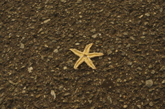 河口の港にて03