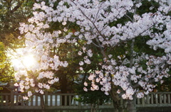 20140404-174806-0