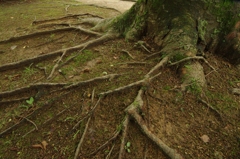 夏、姫路城周辺にて④