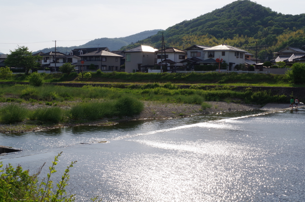 近所の河川にて(2014/5/11)1