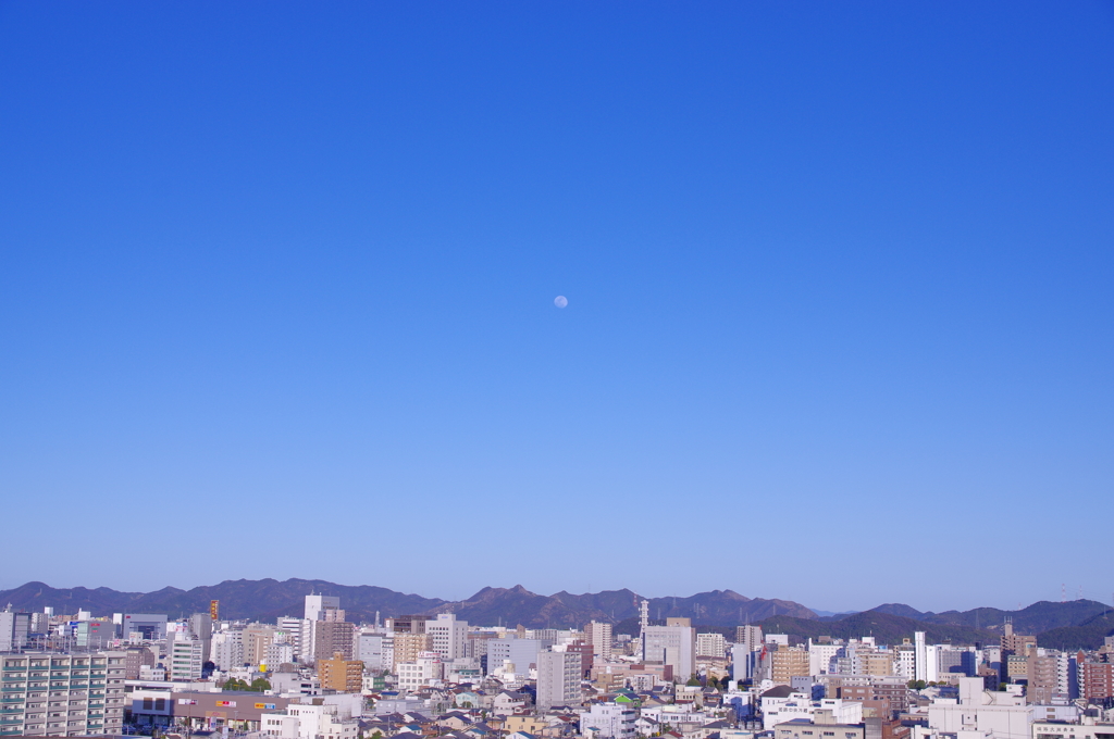 3月下旬の手柄山　其の⑤