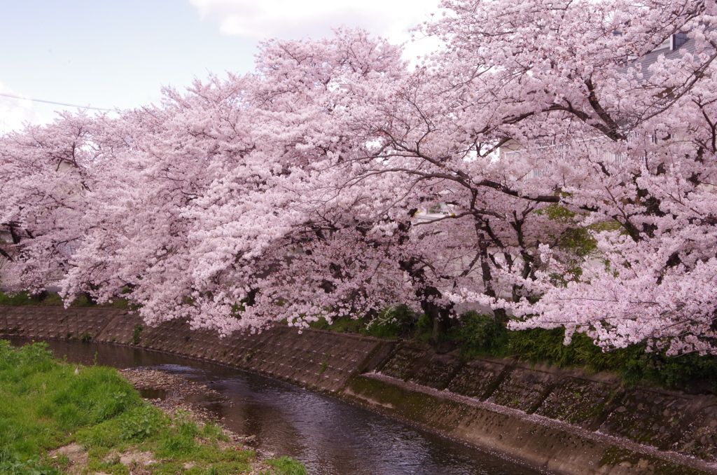 20140406-123313-0