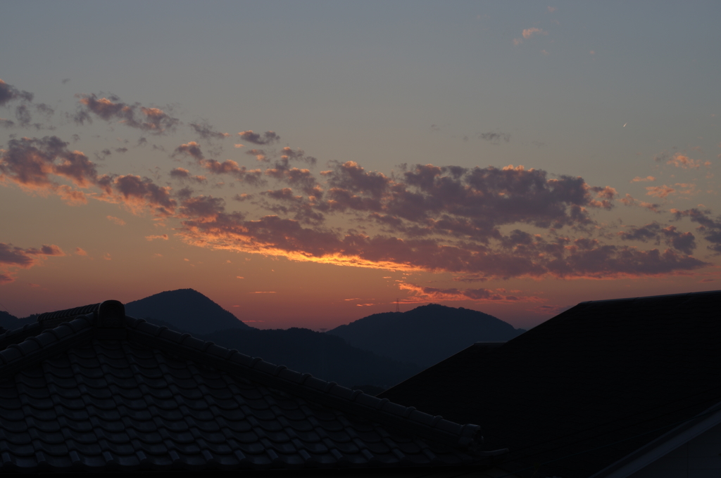 ★55mm試し撮り⑩