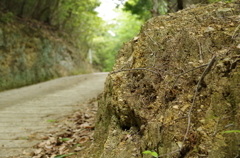 20140503_書写山02