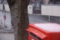 元旦の雪②