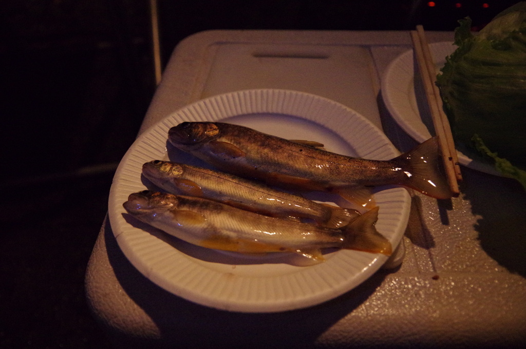 渓流釣りキャンプにて①