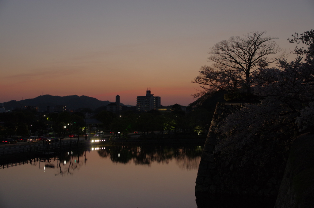 夜桜の姫路城(31mm)　其の①