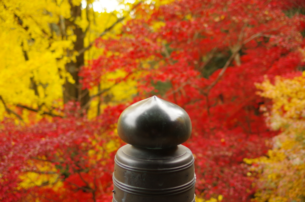 秋の書写山円教寺にて③