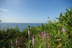 8月最終日にて②