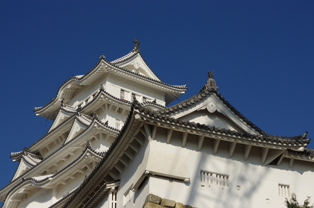 空き終わりの姫路城⑤