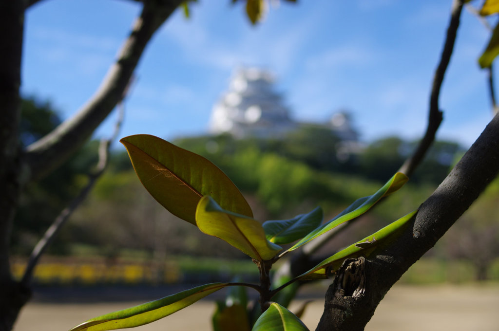 シロトピア公園　其の④