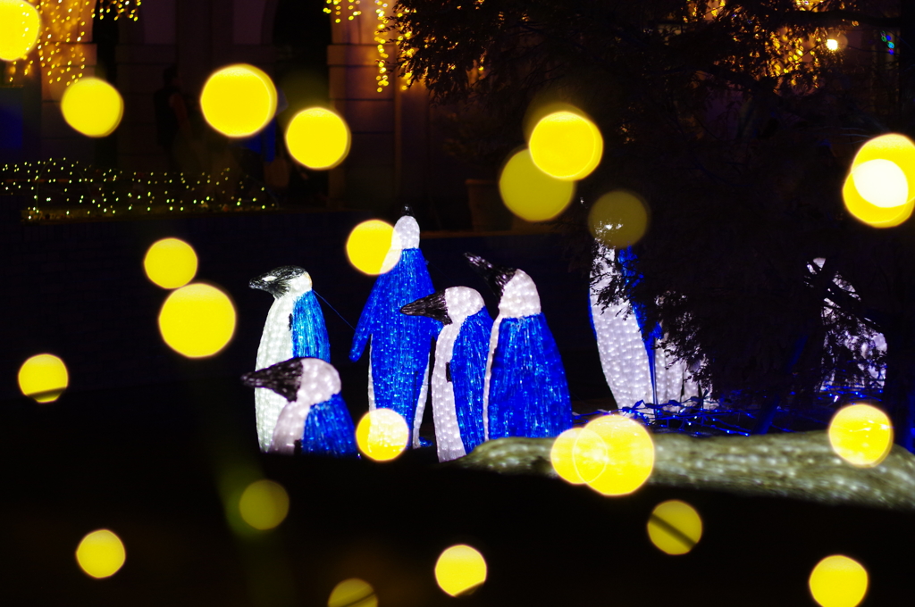 神戸イルミナージュ⑨