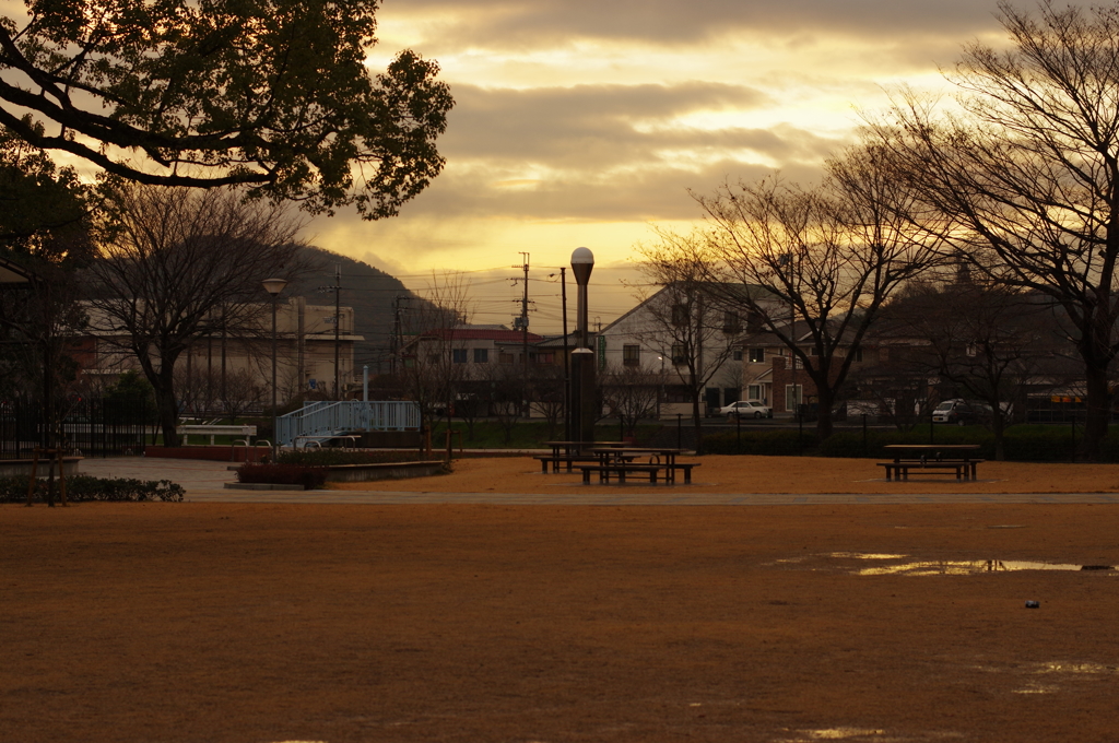 雨上がりの近所の公園⑤