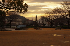 雨上がりの近所の公園⑤