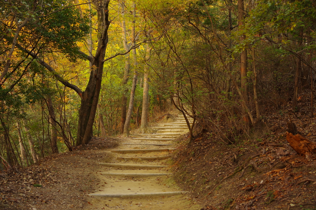 秋の書写山円教寺にて⑩