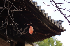 秋き終わりの斑鳩寺にて⑤