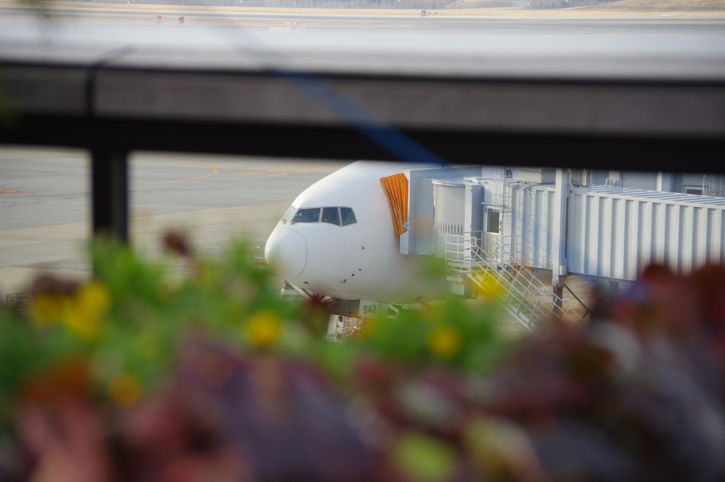 伊丹空港にて③