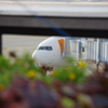 伊丹空港にて③