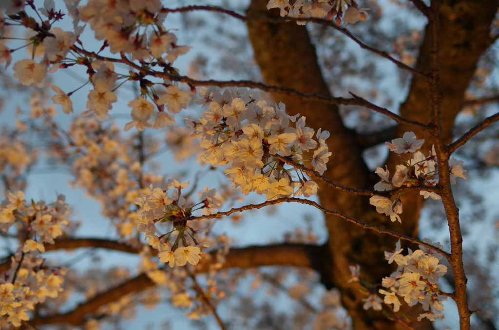 20140404-182445-0
