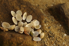 河口の港にて07