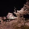夜桜の姫路城(31mm)　其の④