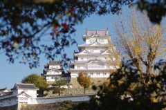 空き終わりの姫路城①