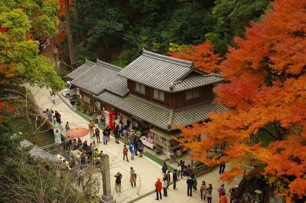 秋の書写山円教寺にて②
