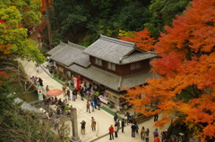 秋の書写山円教寺にて②