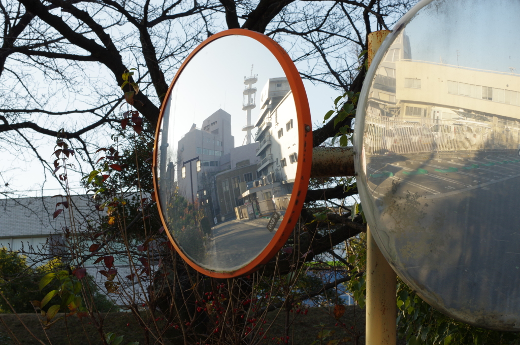 初冬の朝の公園にて⑤