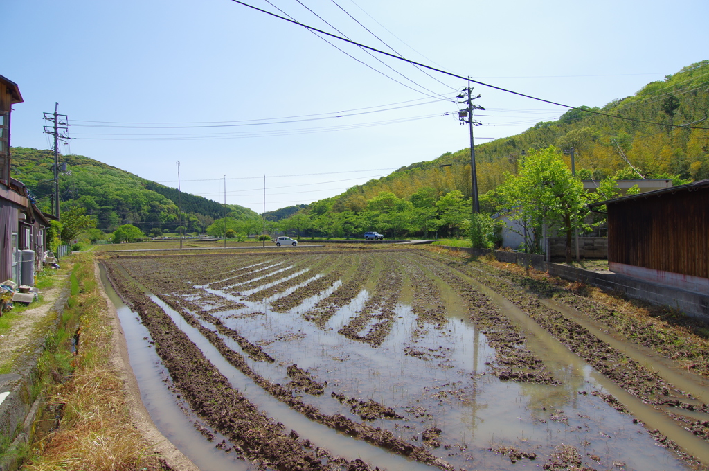 山口　秋芳洞にて　其の⑫