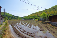 山口　秋芳洞にて　其の⑫