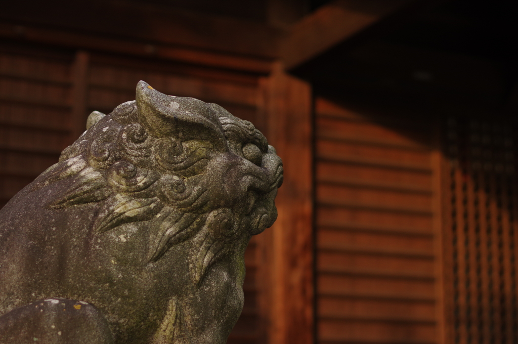 近所の神社にて①