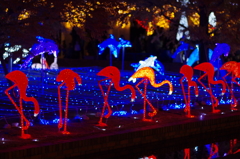 神戸イルミナージュ⑩