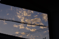 ★55mm試し撮り③