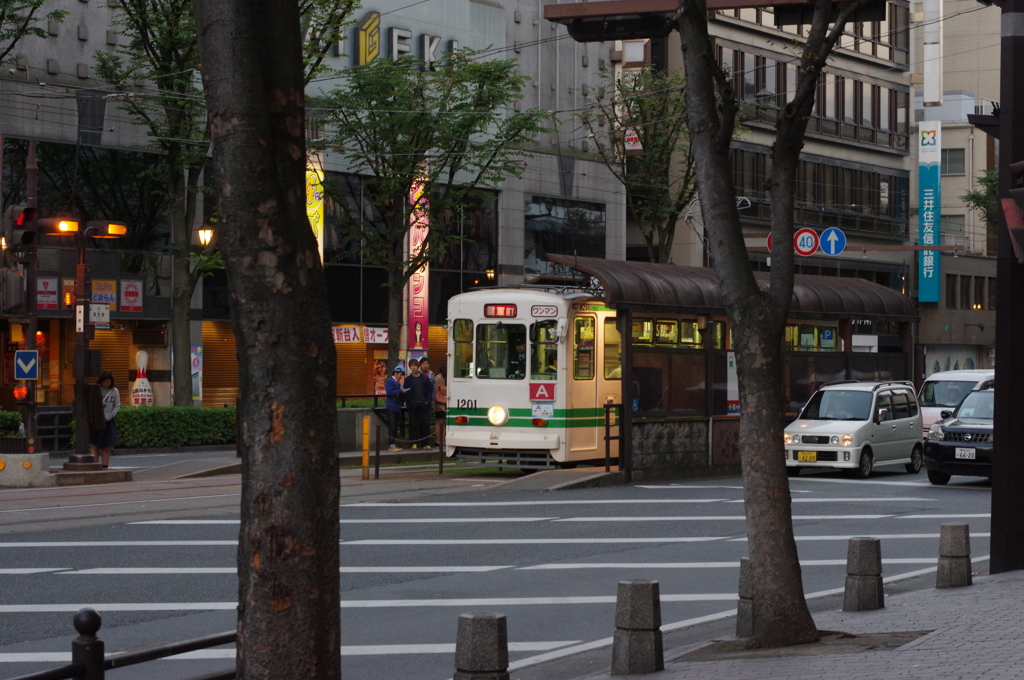熊本の早朝にて⑤