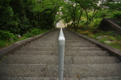 手柄周辺にて　其の④