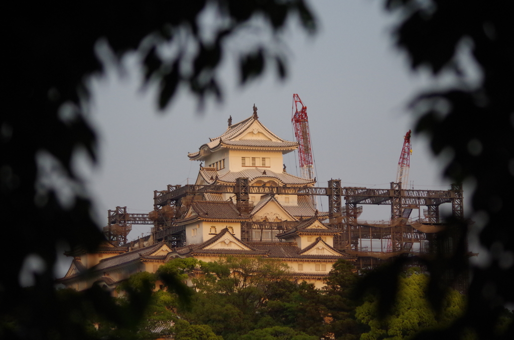 姫路城（工事中）③