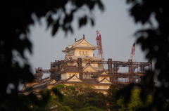 姫路城（工事中）③