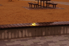 雨上がりの近所の公園⑧