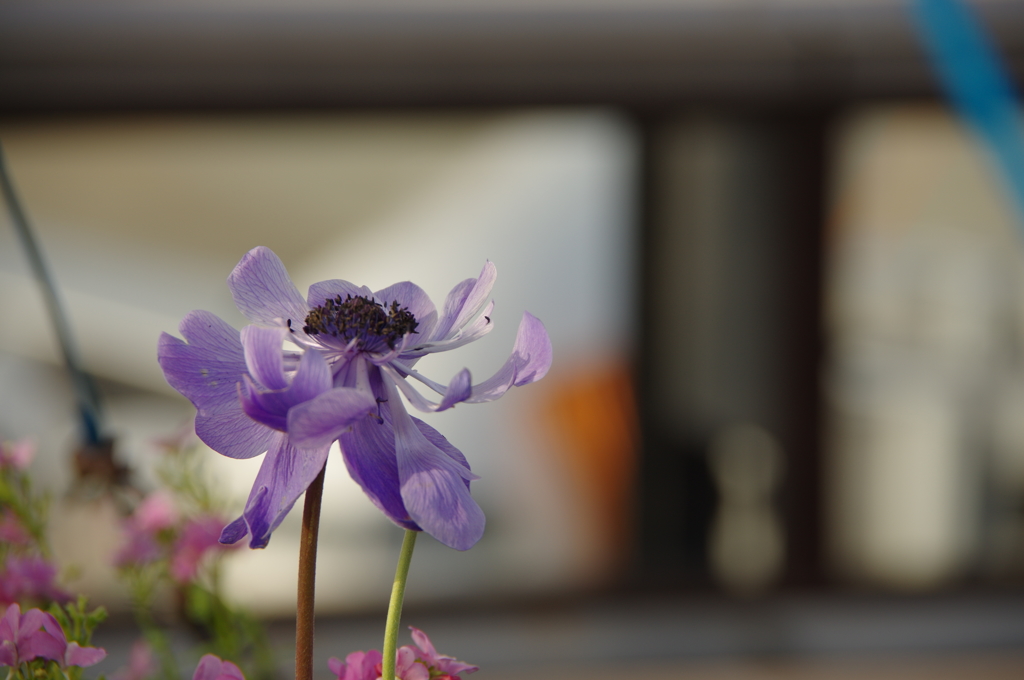 伊丹空港にて⑤