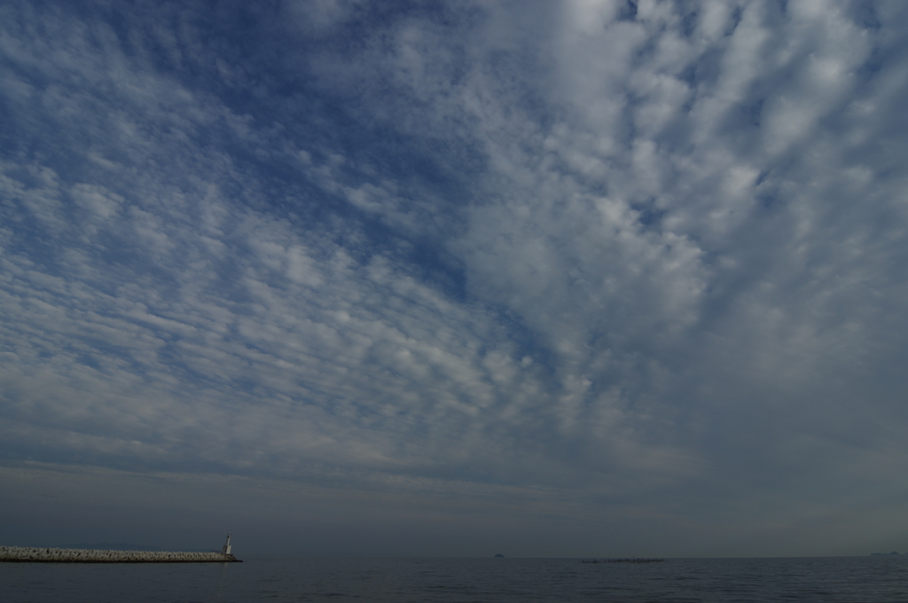 八家の海辺にて④